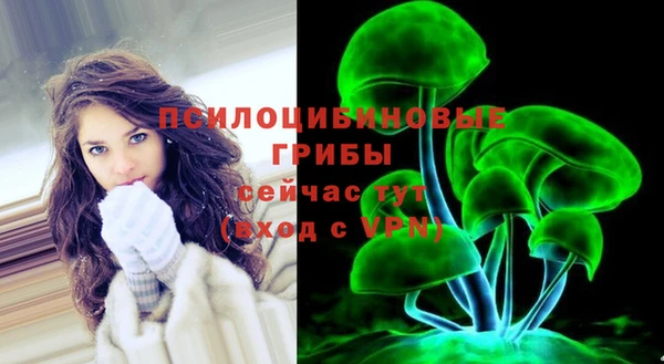 гашик Нягань