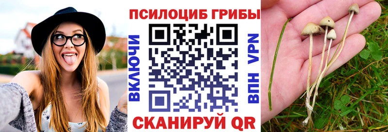 Псилоцибиновые грибы Magic Shrooms  MEGA зеркало  Спасск-Рязанский 